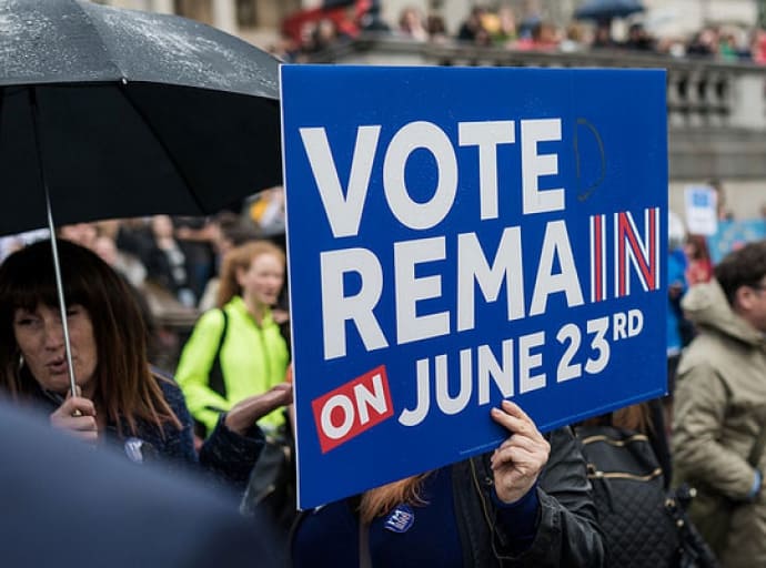 W.Brytania/Komisja Wyborcza wyjaśni finansowanie kampanii referendalnych