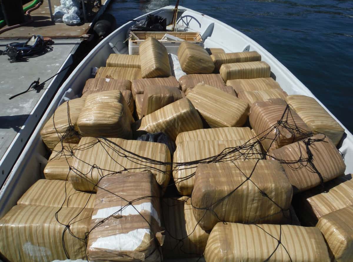 Policja przechwyciła 83 kilogramy kokainy wartej 6 milionów funtów
